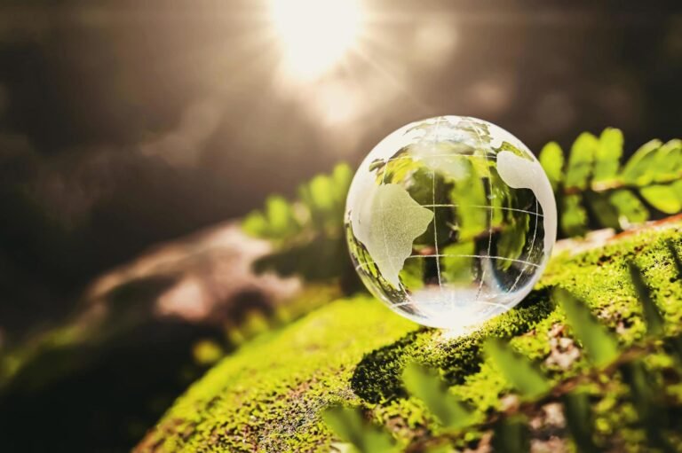Environmental Protection