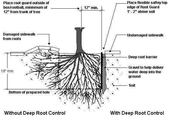root barrier installation in pakistan