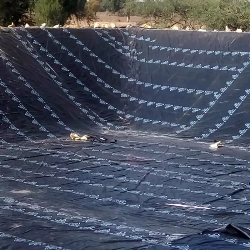 Textured HDPE Geomembrane Installation in Pakistan